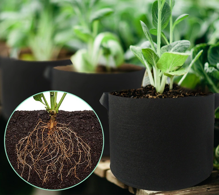 Flower Plant Bag Vegetable Garden Planting Pot Fast Delivery Round Black Fabric 3 5 10 15 20 30 200 Gallon Cheap Garden Pots Fabric Pots Potato Plant Grow Bags