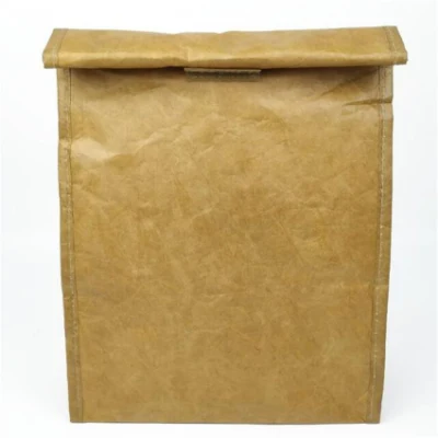 Reusable Mail Hand Lunch Shopping Kraft Paper Tyvek Cooler Lunch Bag